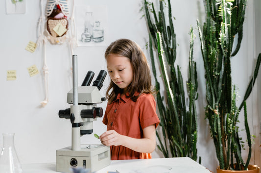 Exploration et découverte : comment les jeux scientifiques stimulent la curiosité des enfants