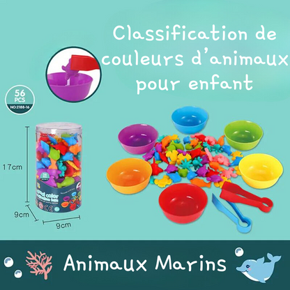 Animaux Marins - Exploration et Motricité Fine