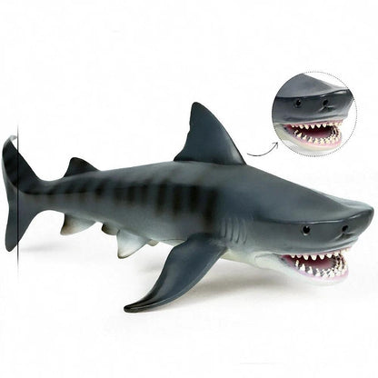 Figurines Réalistes de Requin Megalodon - Labo du Jouet