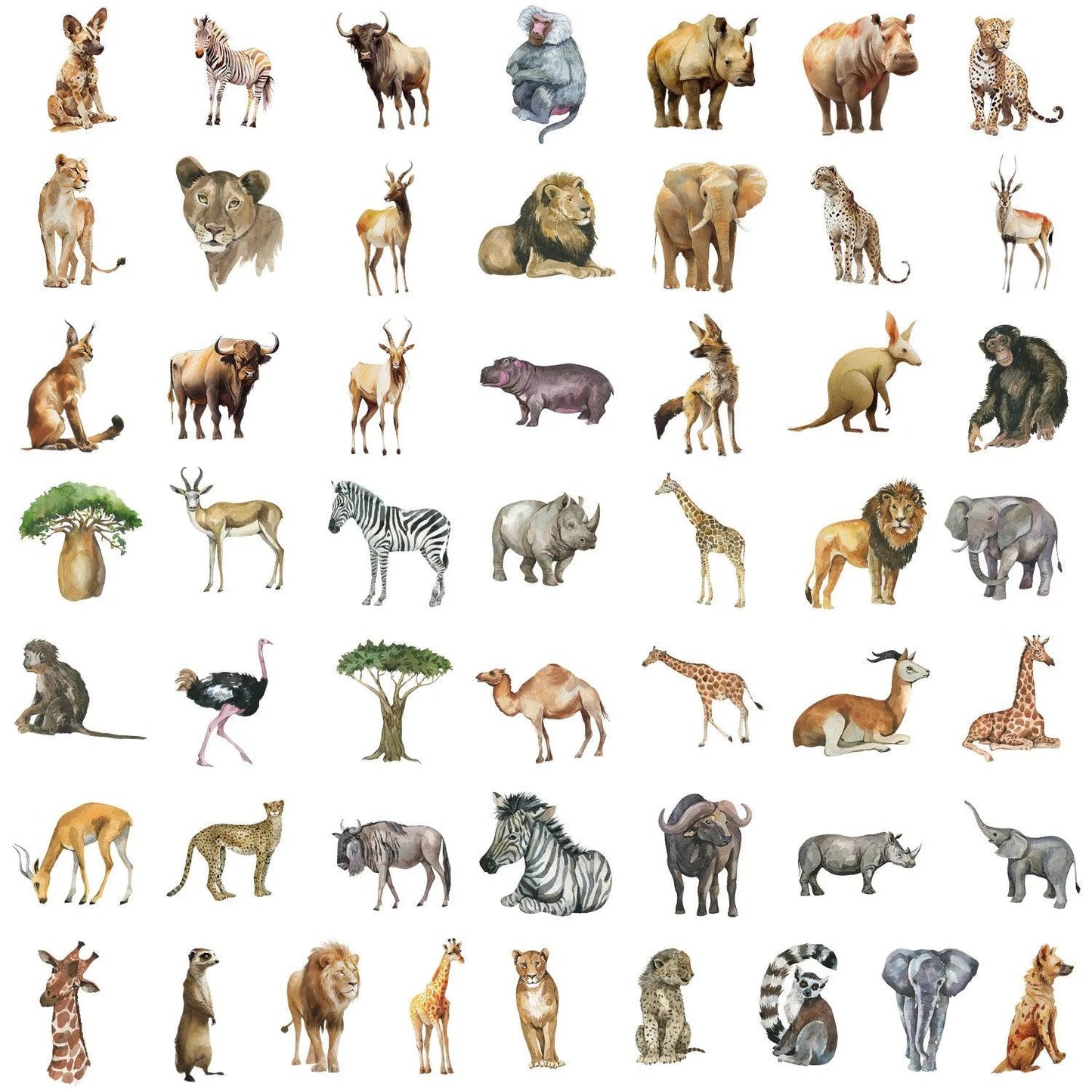 Stickers d'Animaux Polyvalents - 50 Pièces Colorées - Labo du Jouet