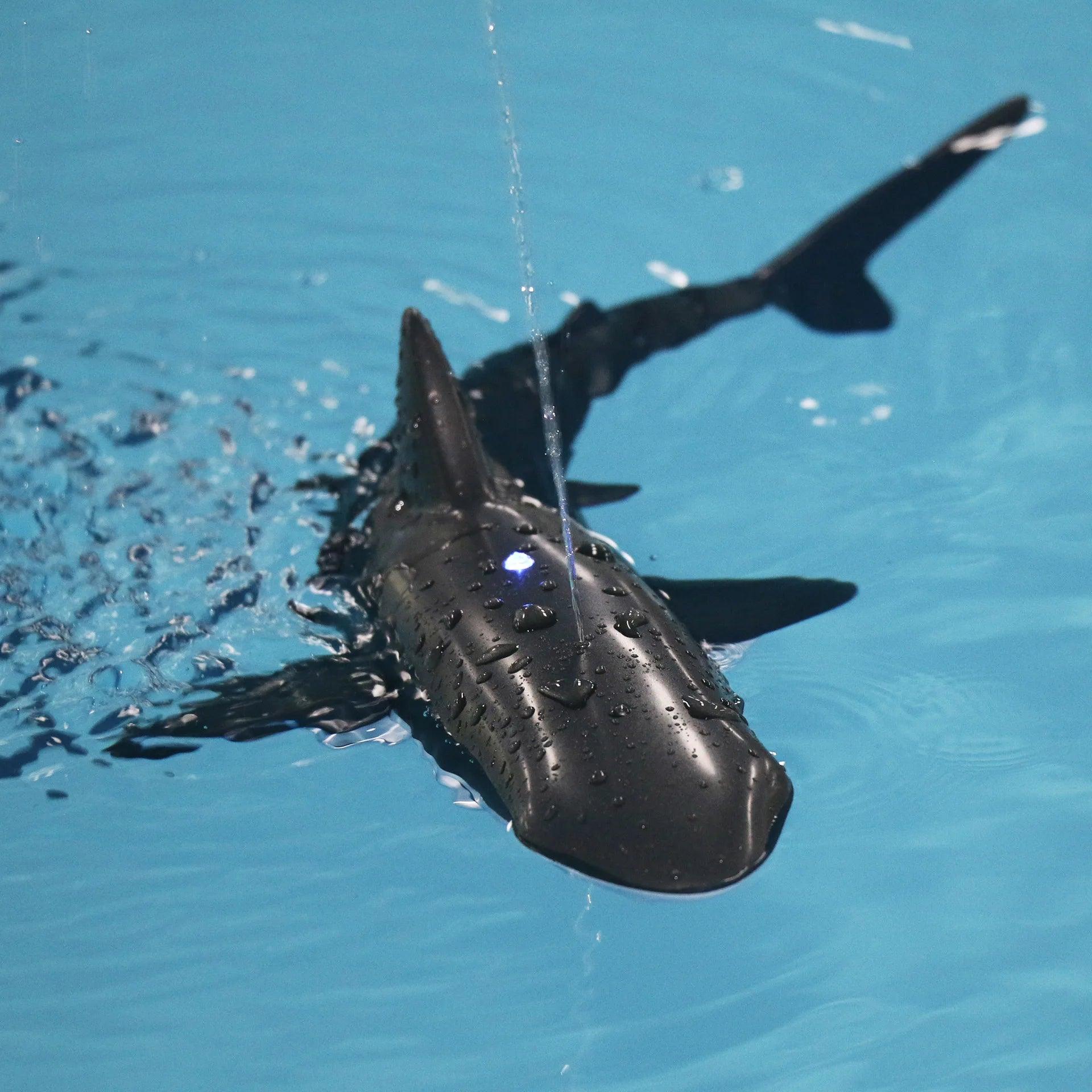 Requin Télécommandé - Labo du Jouet