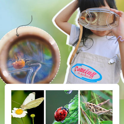 Kit d'Observation d'Insectes Portable