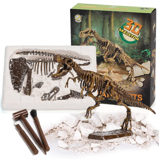 Kits d'excavation dinosaures