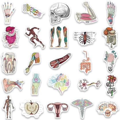 50 stickers anatomie