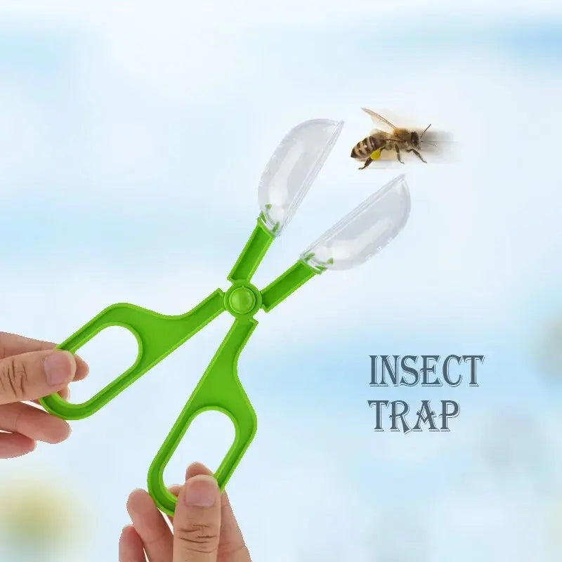 Set de 5 Outils d'Observation d'Insectes