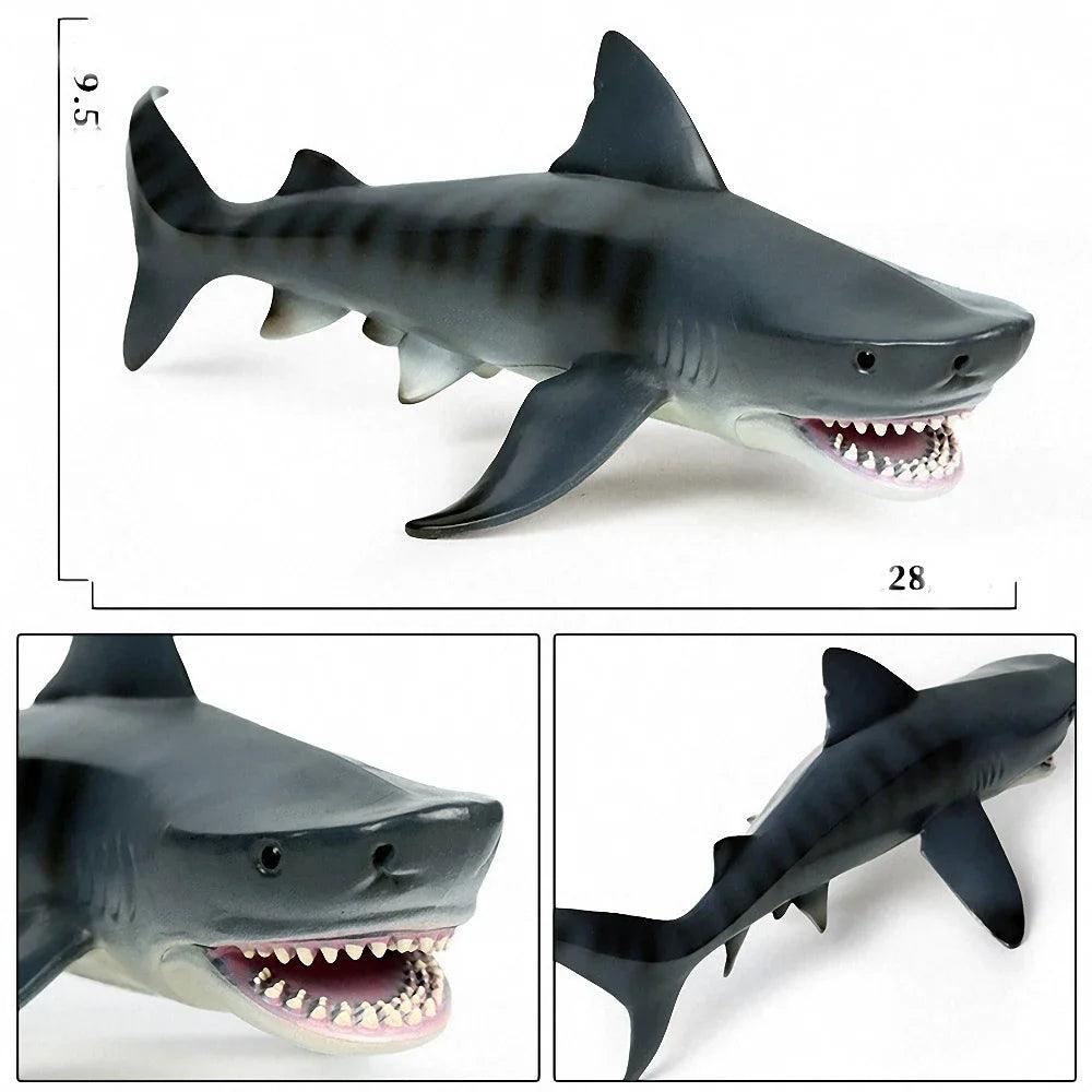 Figurines Réalistes de Requin Megalodon - Labo du Jouet