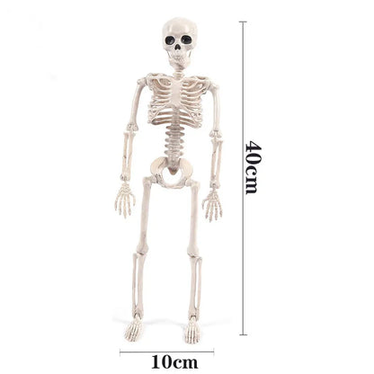 Modèle Réaliste Squelette : Découvrez l'Anatomie en 3D - Labo du Jouet