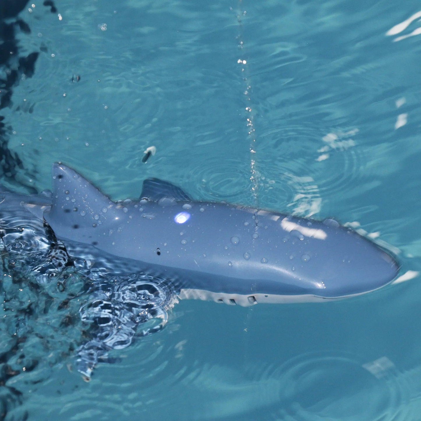 Requin Télécommandé - Labo du Jouet