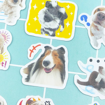 Lot de 40 stickers chiens